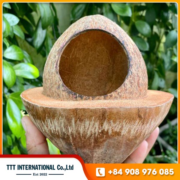 Pet coconut shell